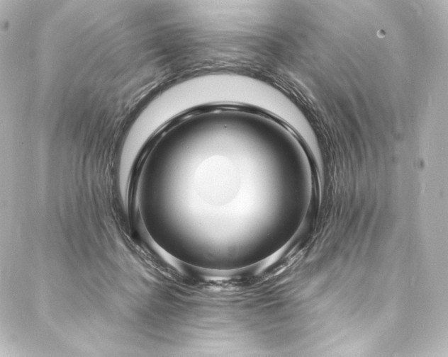 X0000088130364200705141448