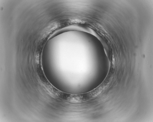 X0000088130368200705141448