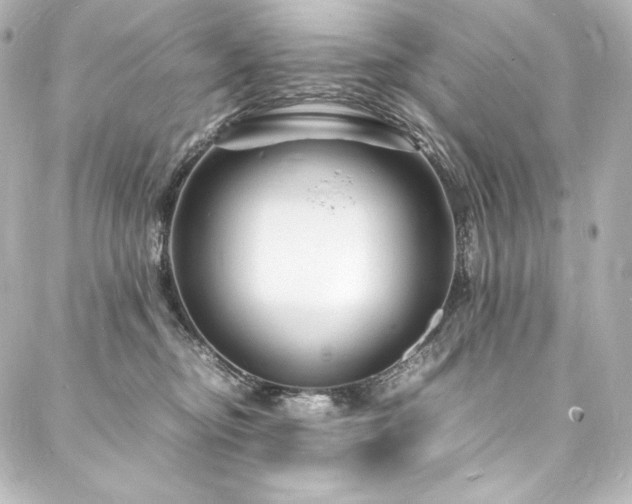 X0000088130374200705141448