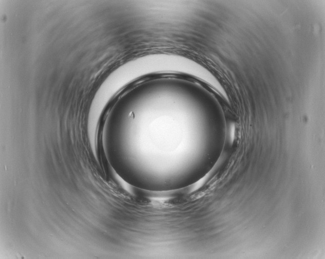 X0000088130376200705141448