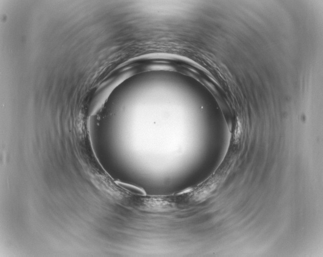 X0000088130380200705141448