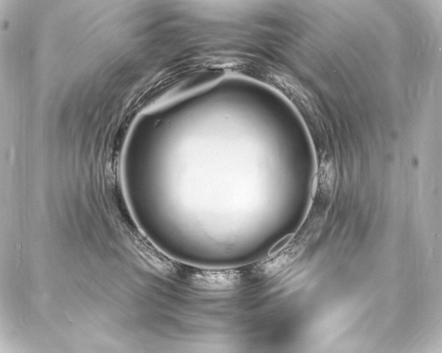X0000088130381200705141448