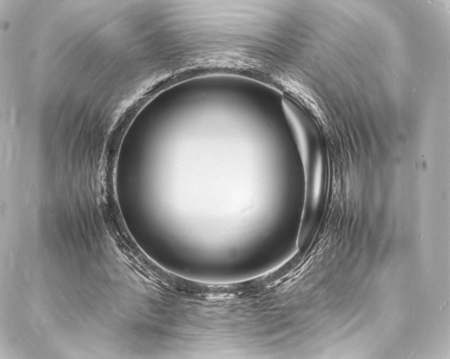 X0000088130388200705141447