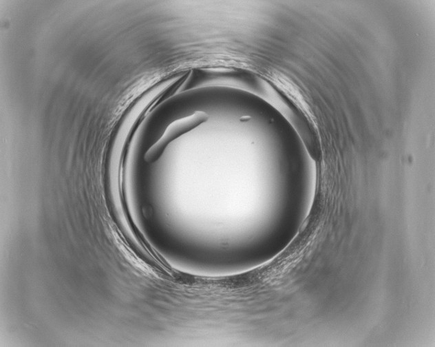 X0000088130389200705141447