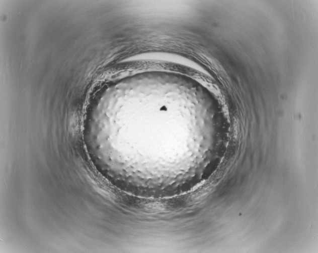 X0000088130409200705141447