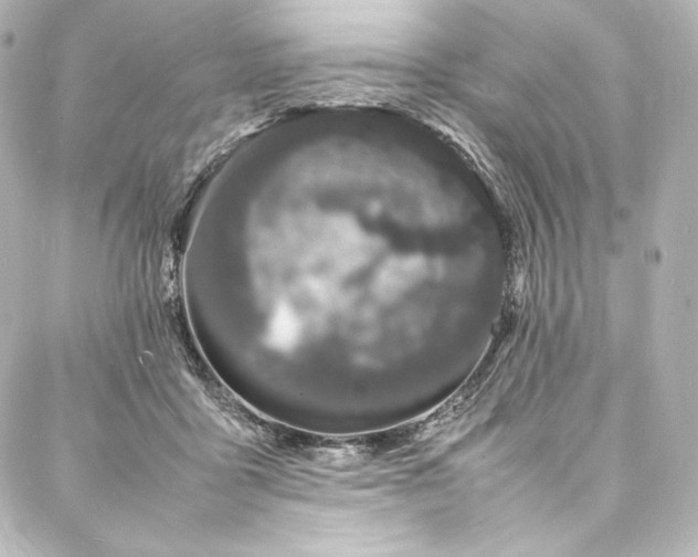 X0000088130411200705141447