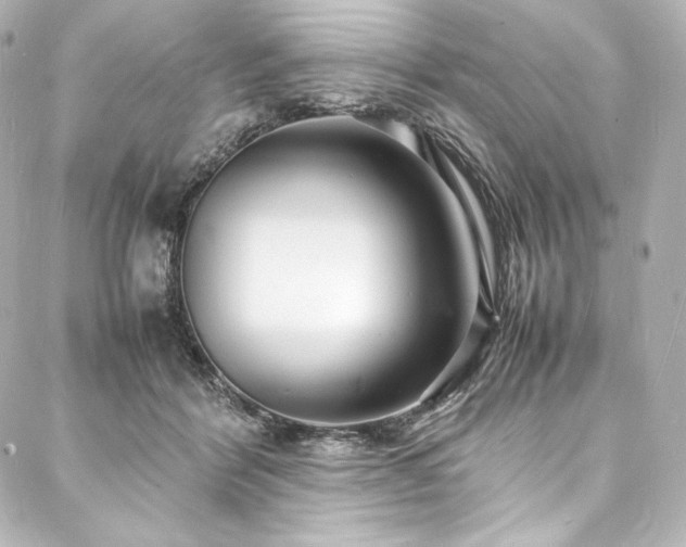 X0000088130412200705141447