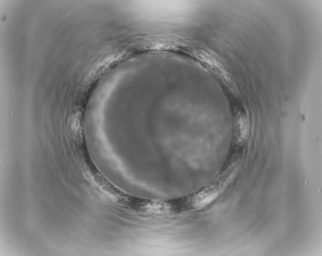 X0000088130415200705141447