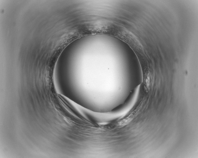X0000088130416200705141447