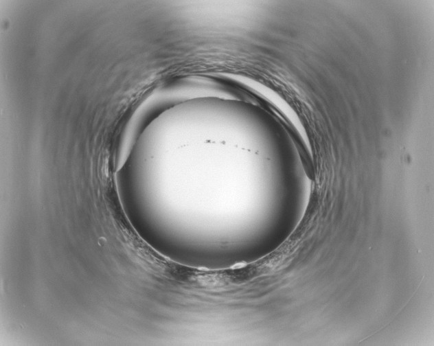 X0000088130417200705141447