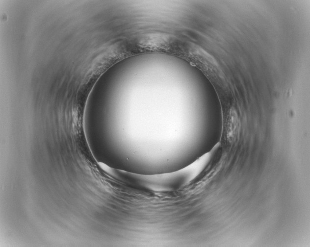 X0000088130420200705141447