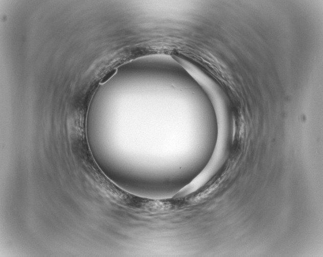 X0000088130421200705141447