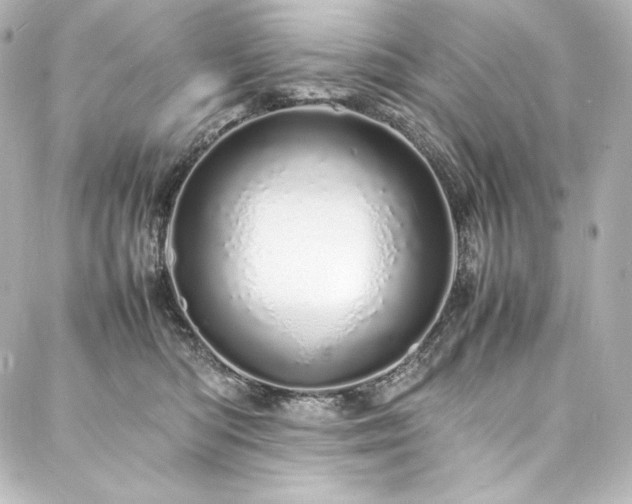 X0000088130422200705141447