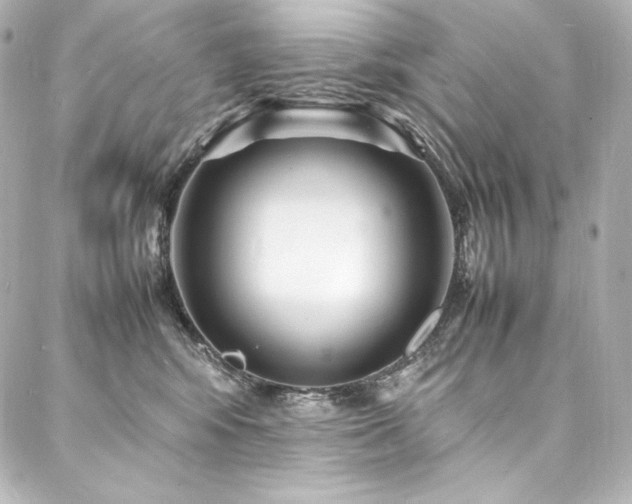 X0000088130424200705141447