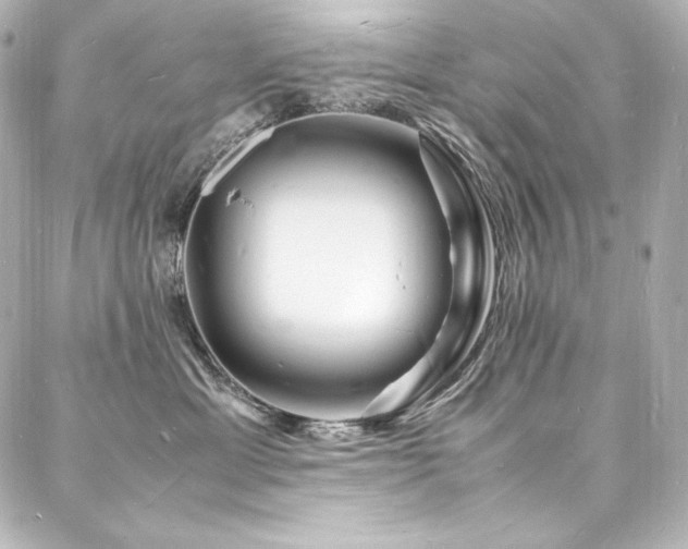 X0000088130429200705141447
