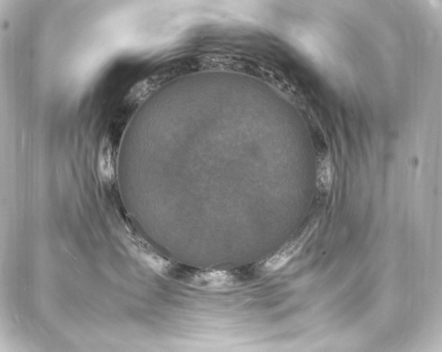 X0000088130431200705141447