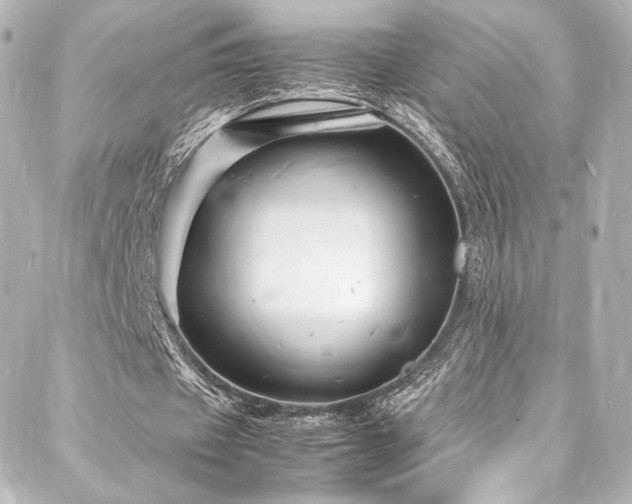 X0000088130433200705141446