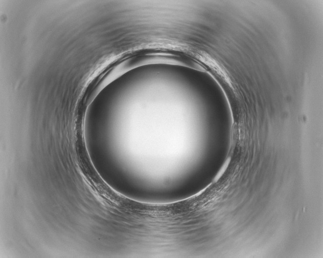 X0000088130436200705141446