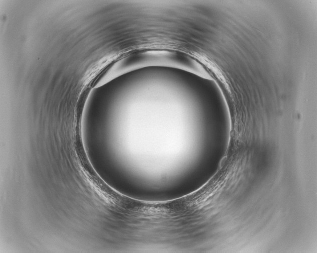 X0000088130437200705141446