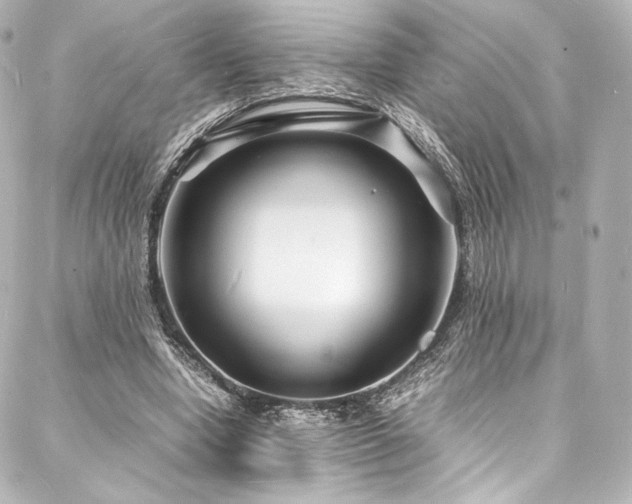 X0000088130442200705141446