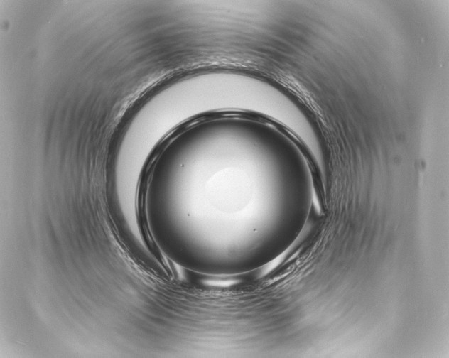 X0000088130444200705141446