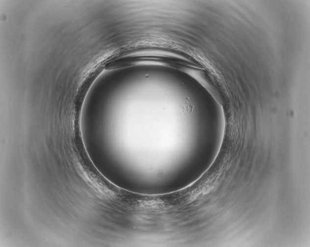 X0000088130446200705141446