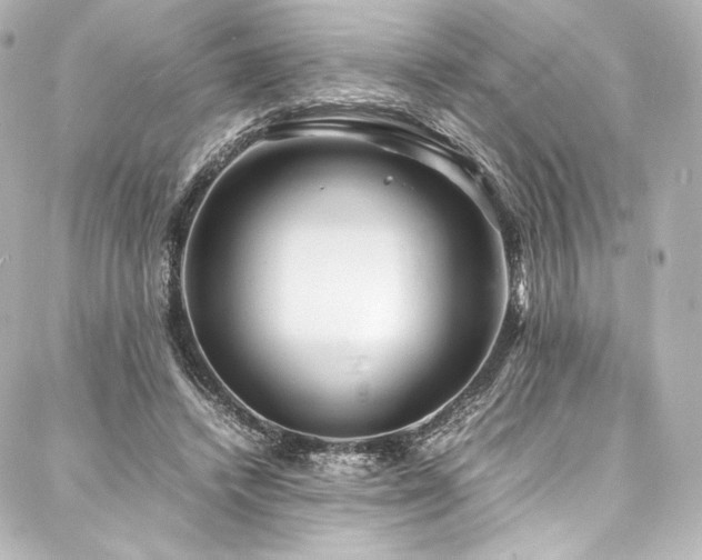 X0000088130448200705141446