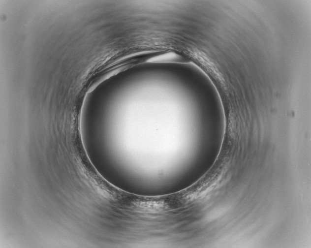 X0000088130449200705141446