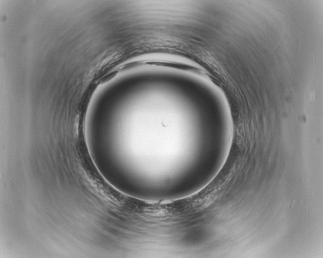 X0000088130454200705141446
