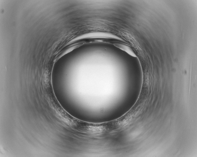X0000088130457200705141446