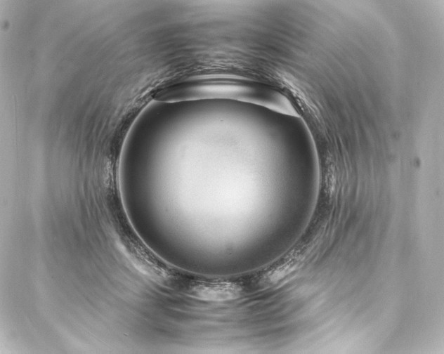 X0000088130459200705141446