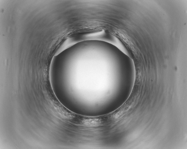 X0000088130461200705141446