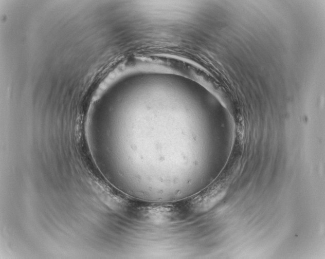 X0000088130462200705141446