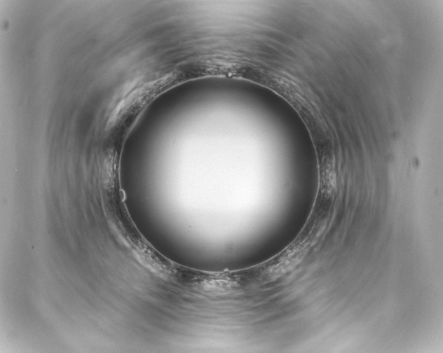 X0000088130468200705141446
