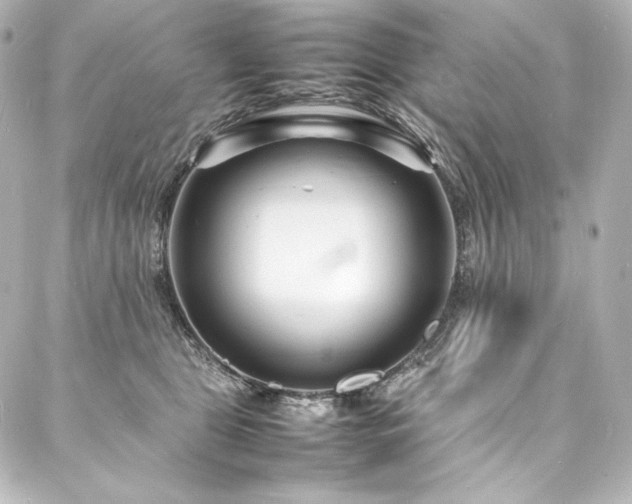 X0000088130469200705141446