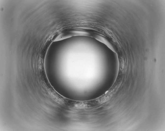 X0000088130470200705141446