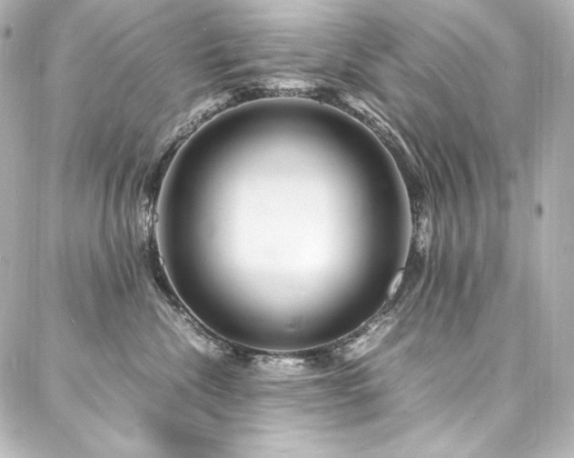 X0000088130476200705141447