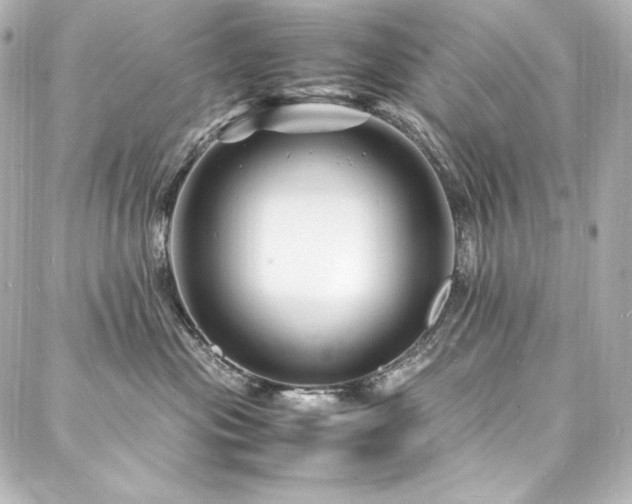 X0000088130477200705141447