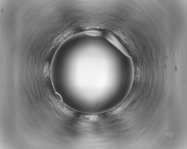 X0000088130478200705141447