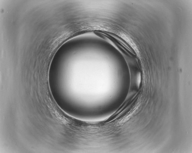X0000088130481200705141446