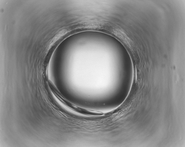X0000088130483200705141446