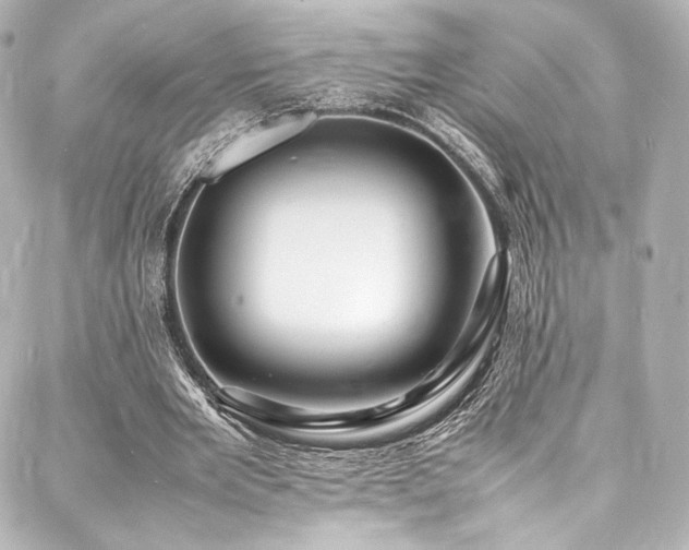 X0000088130485200705141446