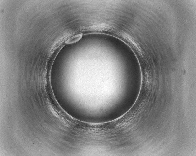 X0000088130486200705141446