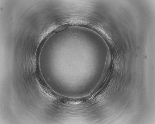 X0000088130488200705141446