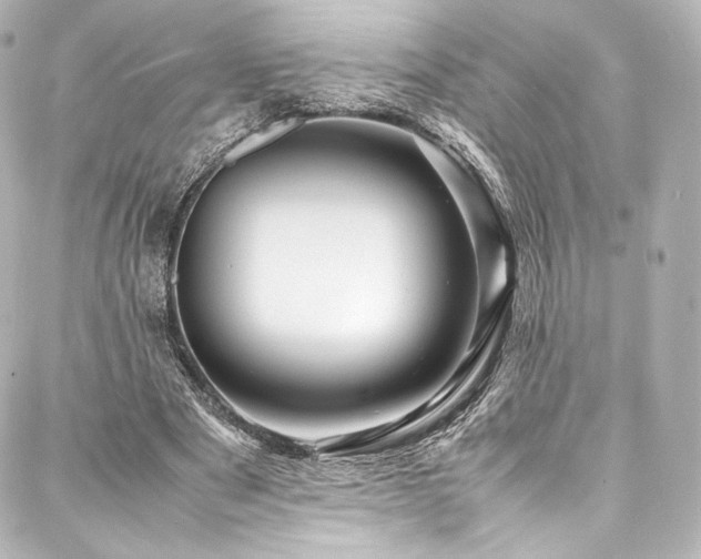 X0000088130489200705141446