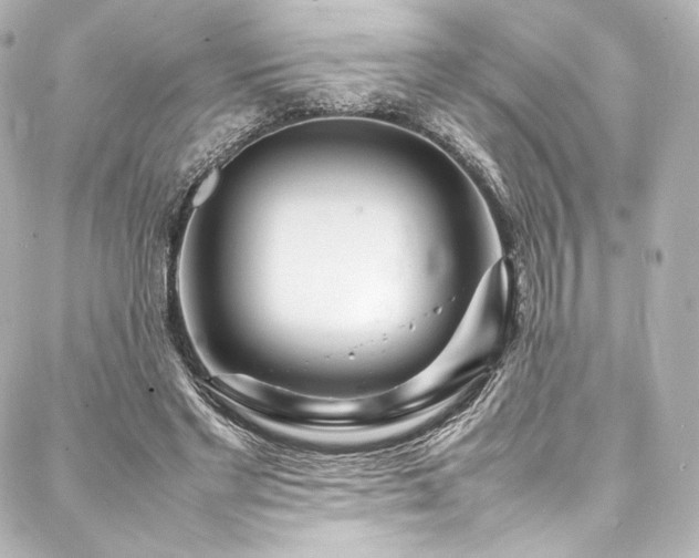 X0000088130493200705141446
