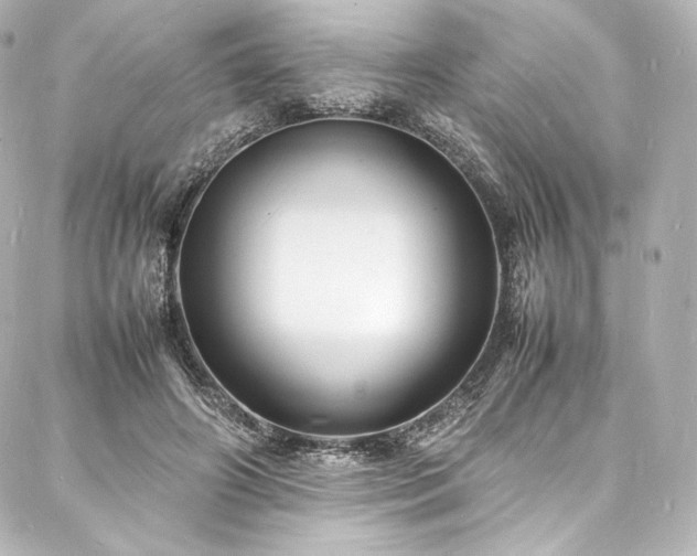 X0000088130498200705141446