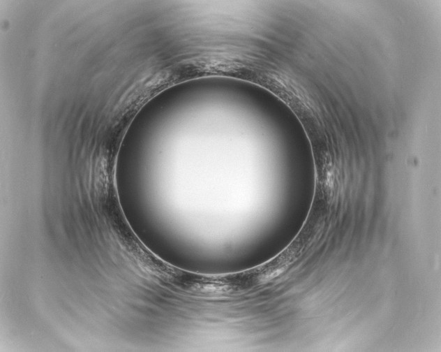 X0000088130506200705141445