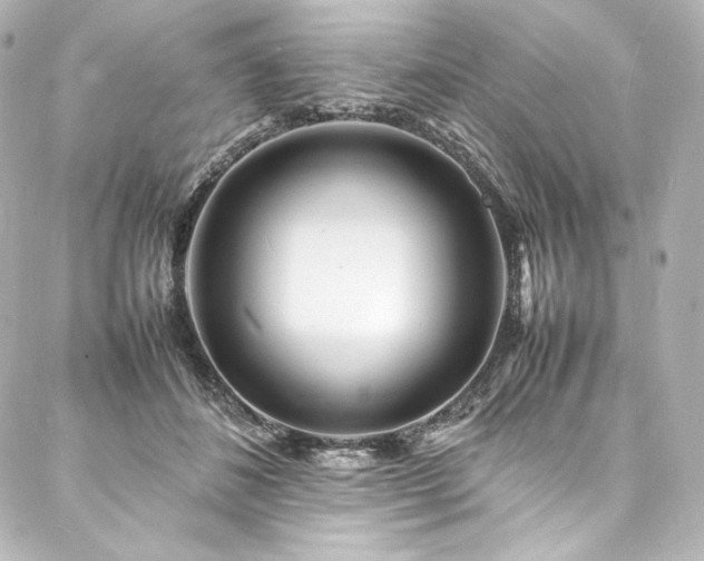 X0000088130508200705141445