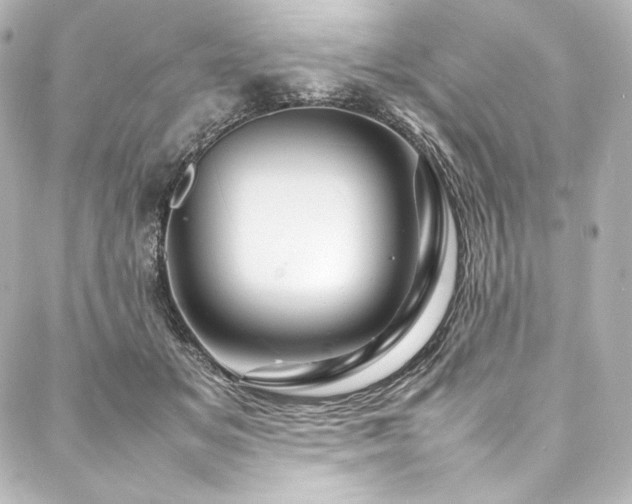 X0000088130509200705141445